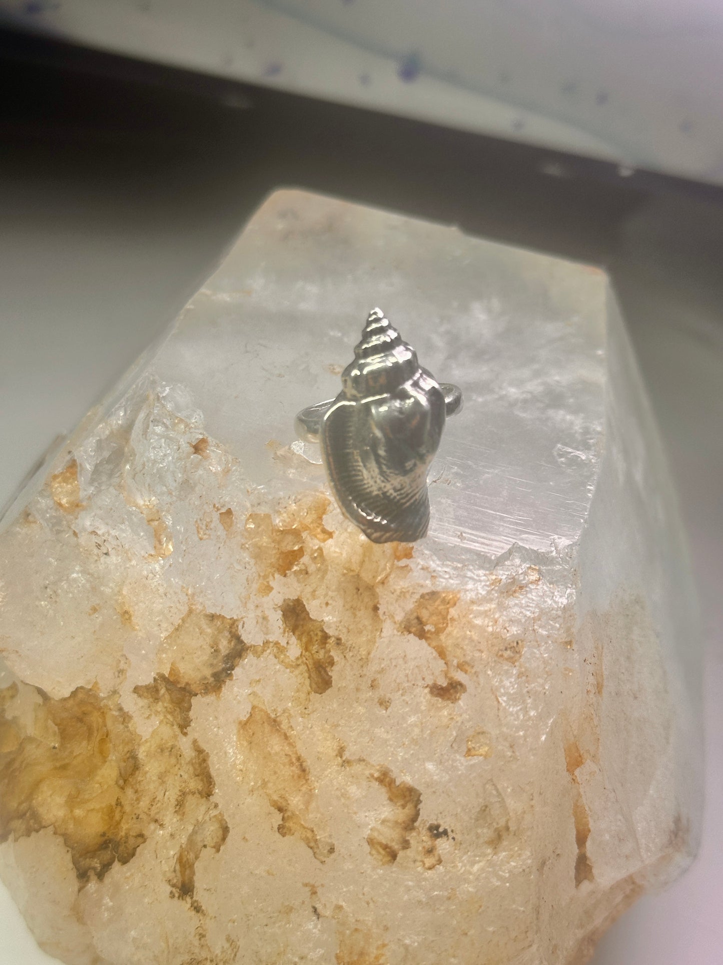 Shell ring sign Washed Ashore band snail size 7 sterling silver women a