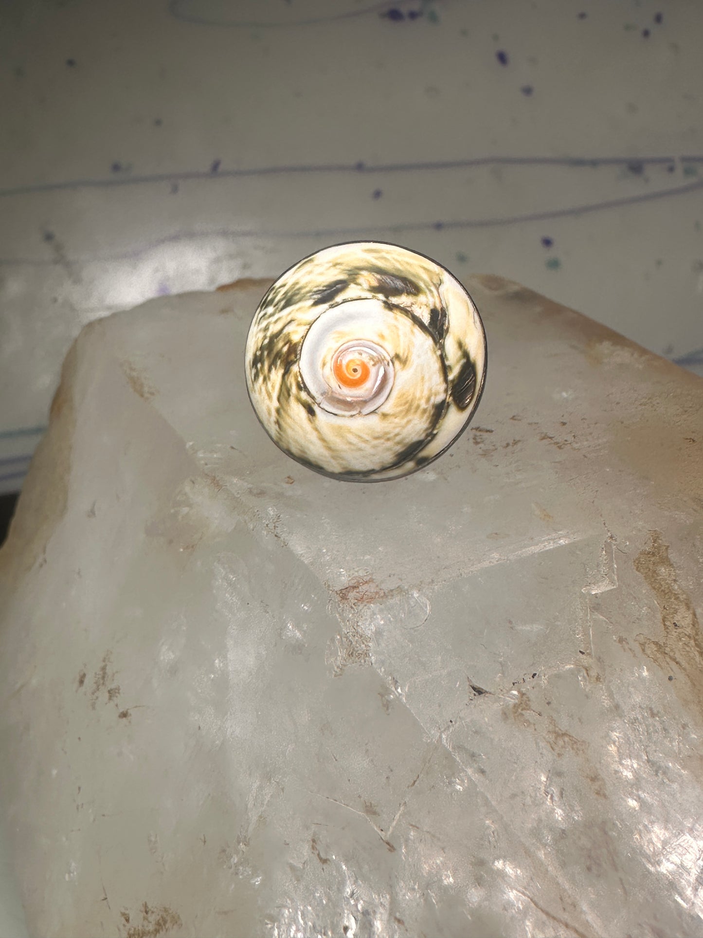 Vintage Shell ring snail band size 5.2 sterling silver women girls pinky