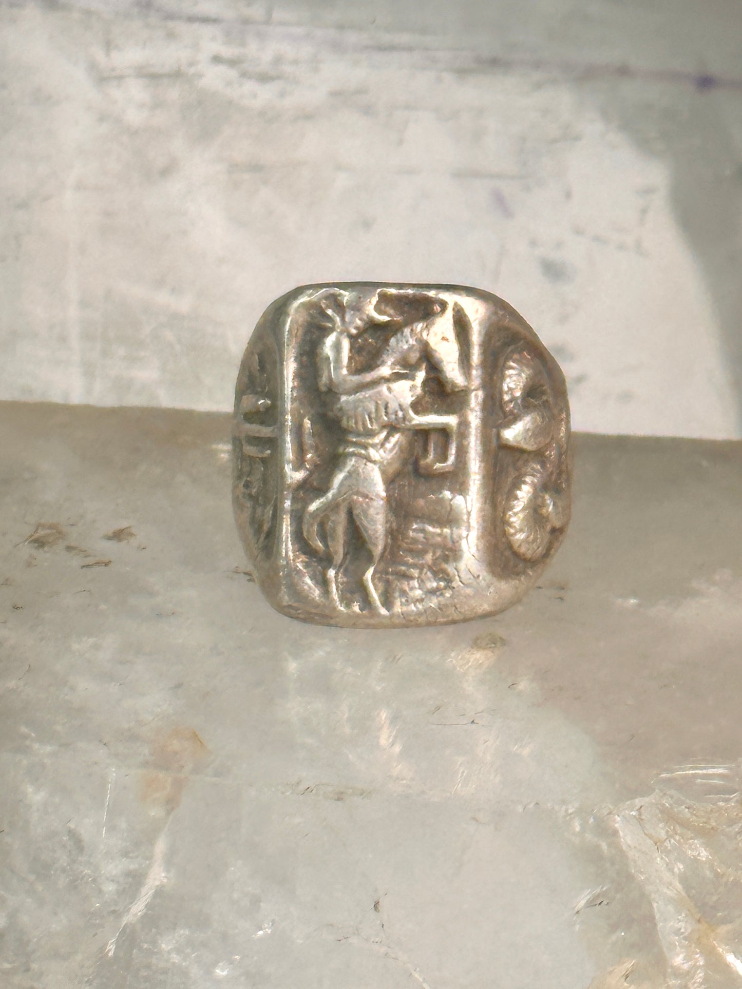 Bucking Bronco ring horse snake cactus Cowboy southwest band size 9 sterling silver women men
