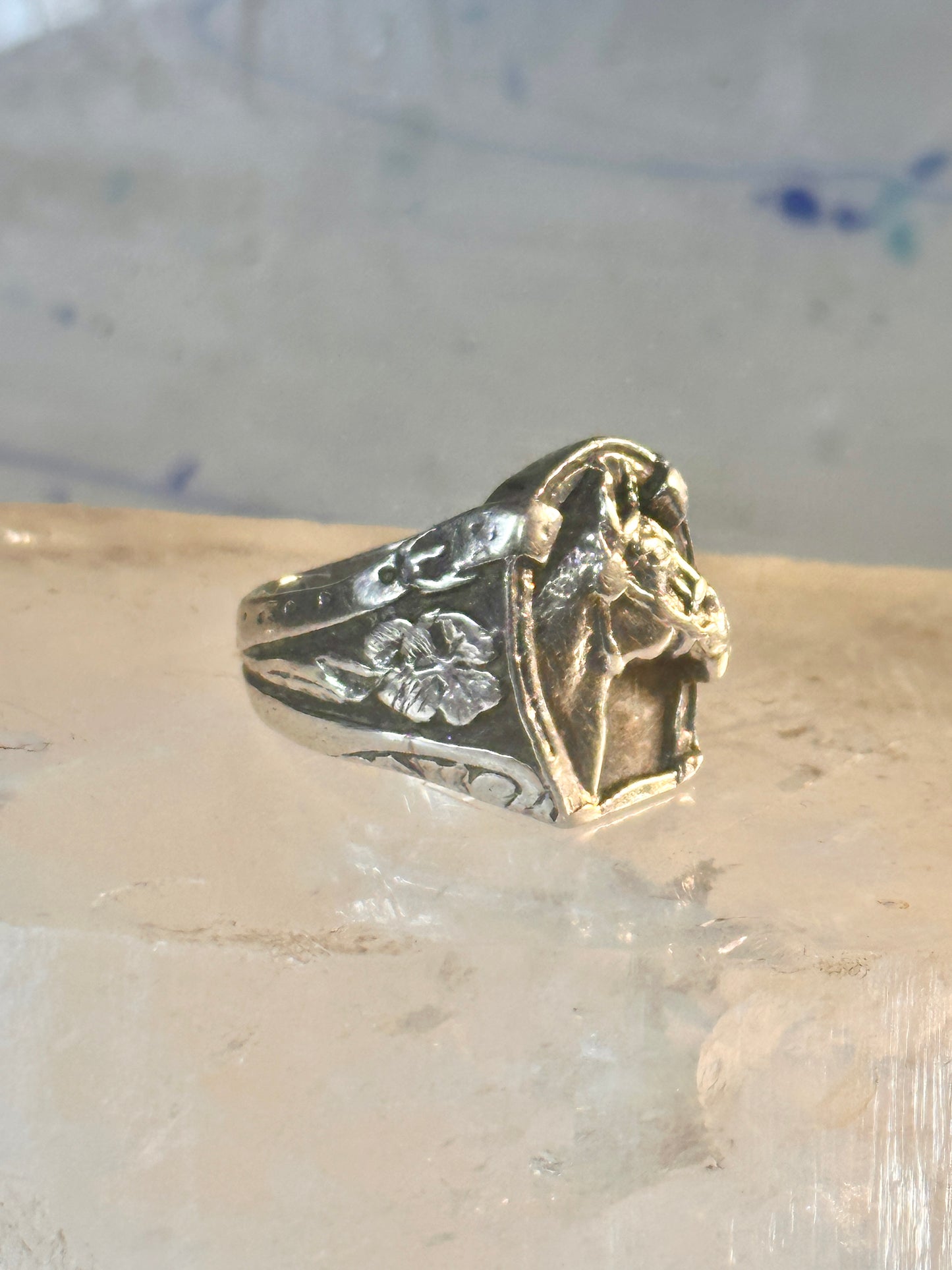 Horse ring Horseshoe band southwest cowgirl band ring size 7 Sterling silver women men