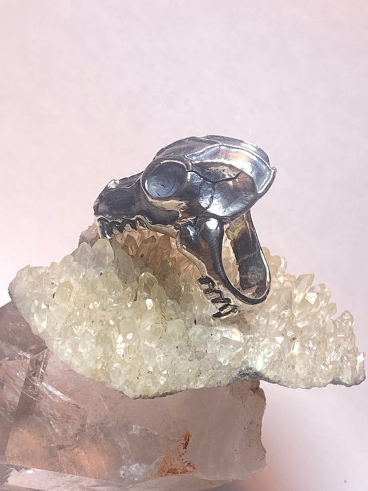 Animal Skull ring size 11.75 biker band sterling silver women men