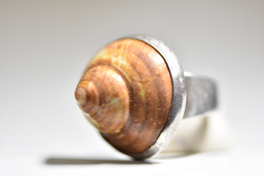 Snail Ring shell band southwest sterling silver women girls