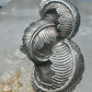 Vintage Sterling Silver Native American Leaf Statement Ring Curved Feathers Size 6 925