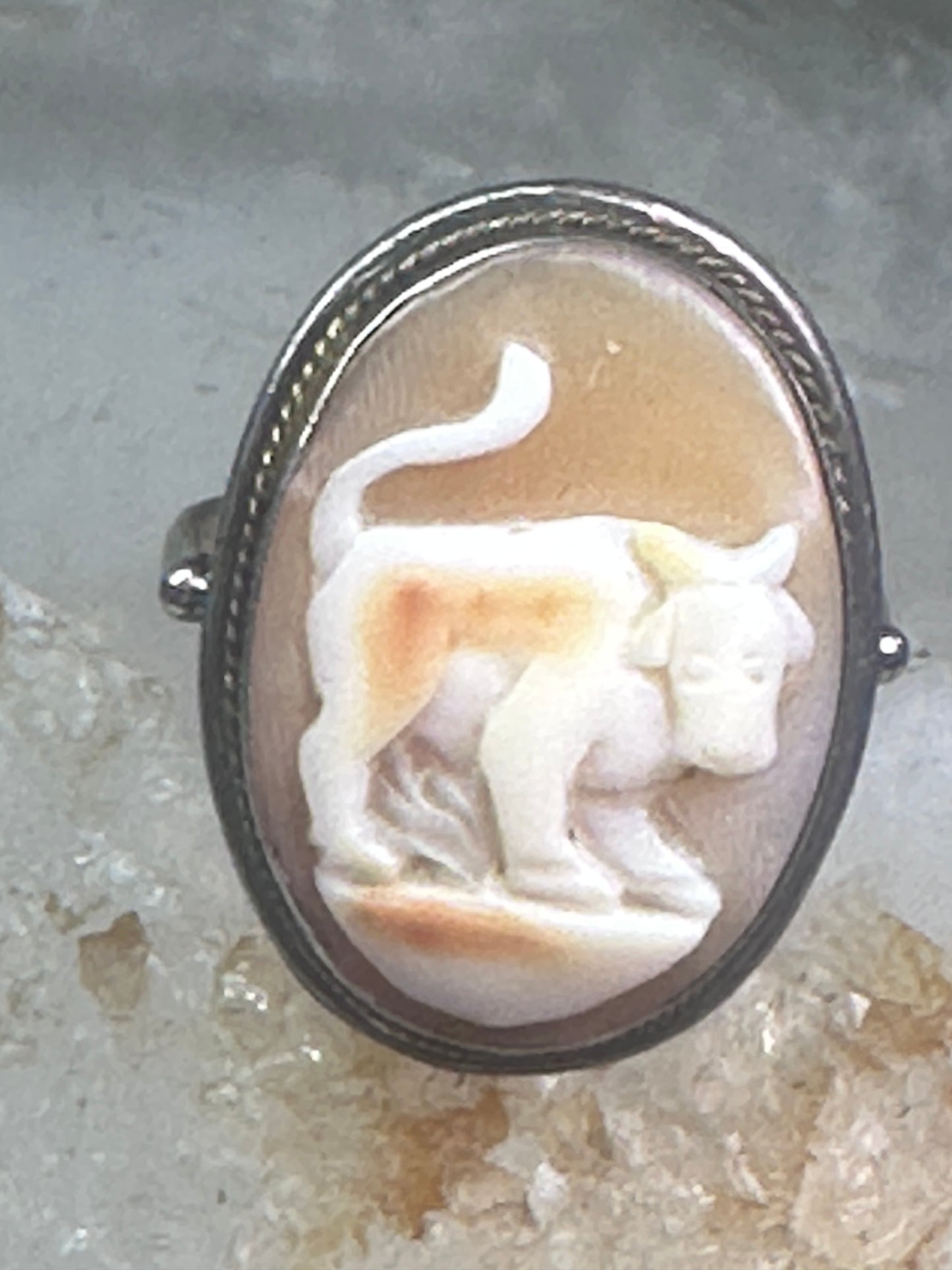 Bull ring Cameo Shell Taurus Zodiac band size 4 800 silver women girls