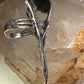 Skull Bird Ring Raven long band size 7.75 sterling silver women