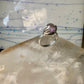 Hands ring size 6 amethyst orb ball globe band sterling silver women