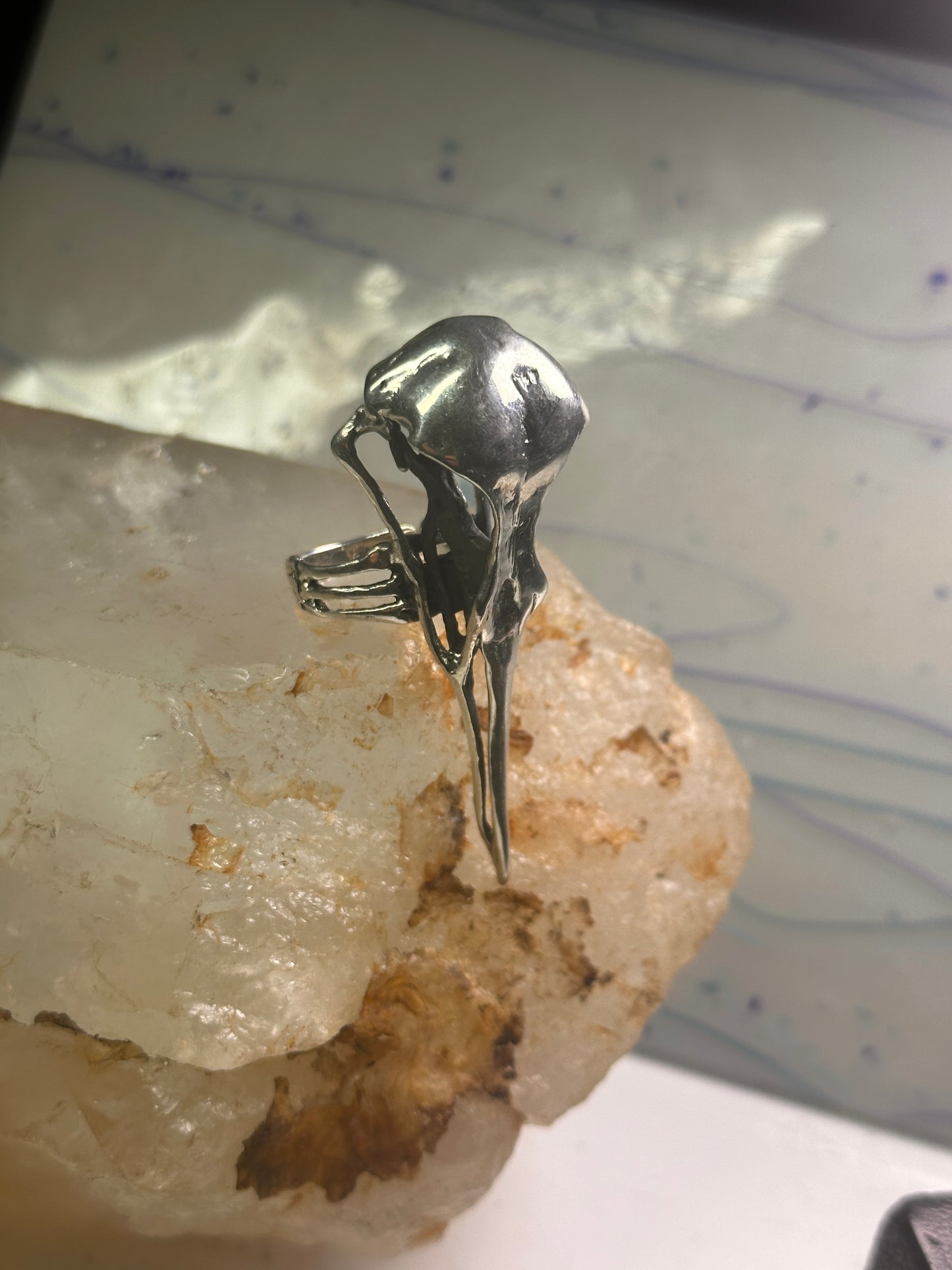 Skull Bird Ring Raven long band size 7.75 sterling silver women