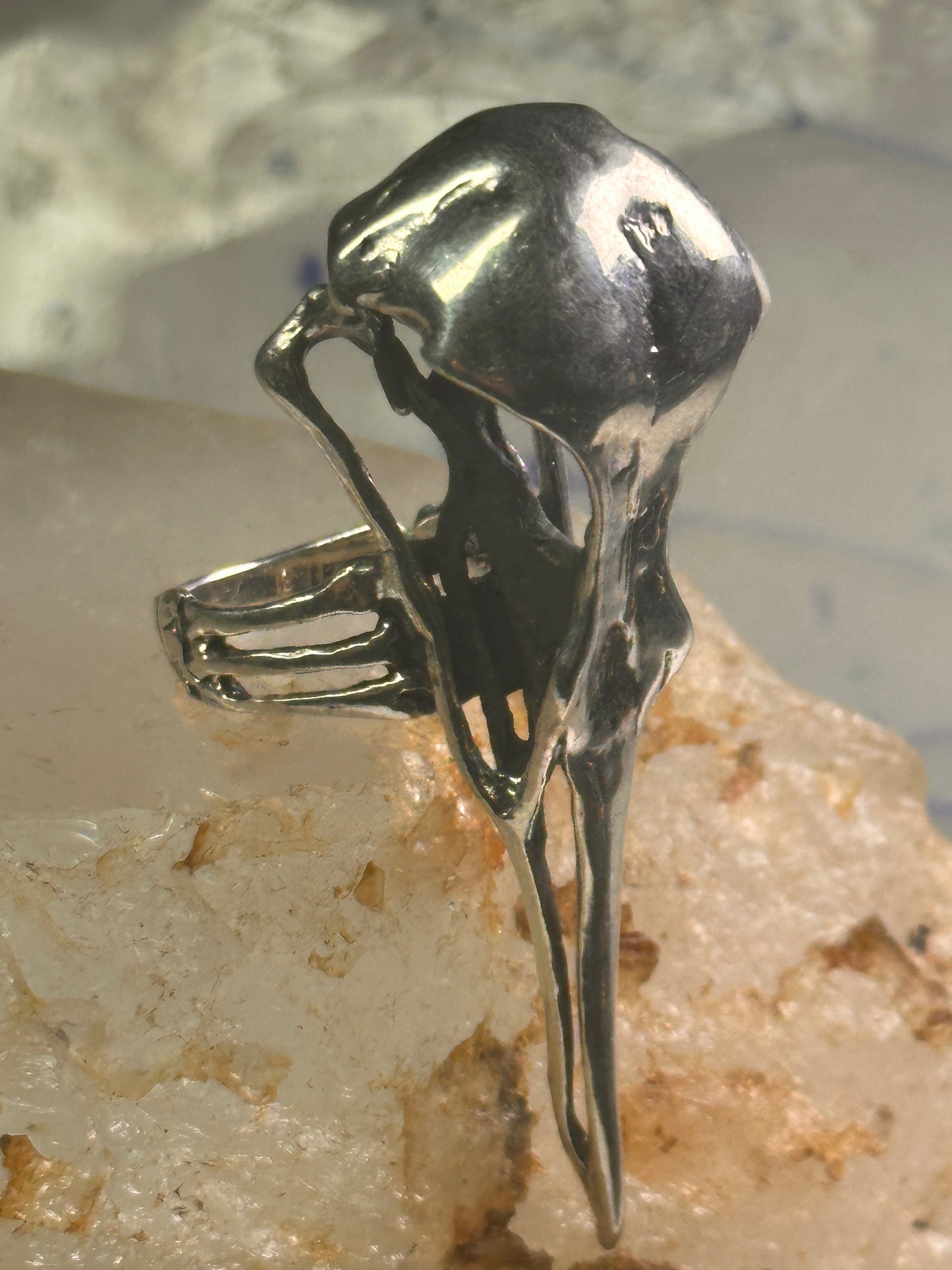 Skull Bird Ring Raven long band size 7.75 sterling silver women