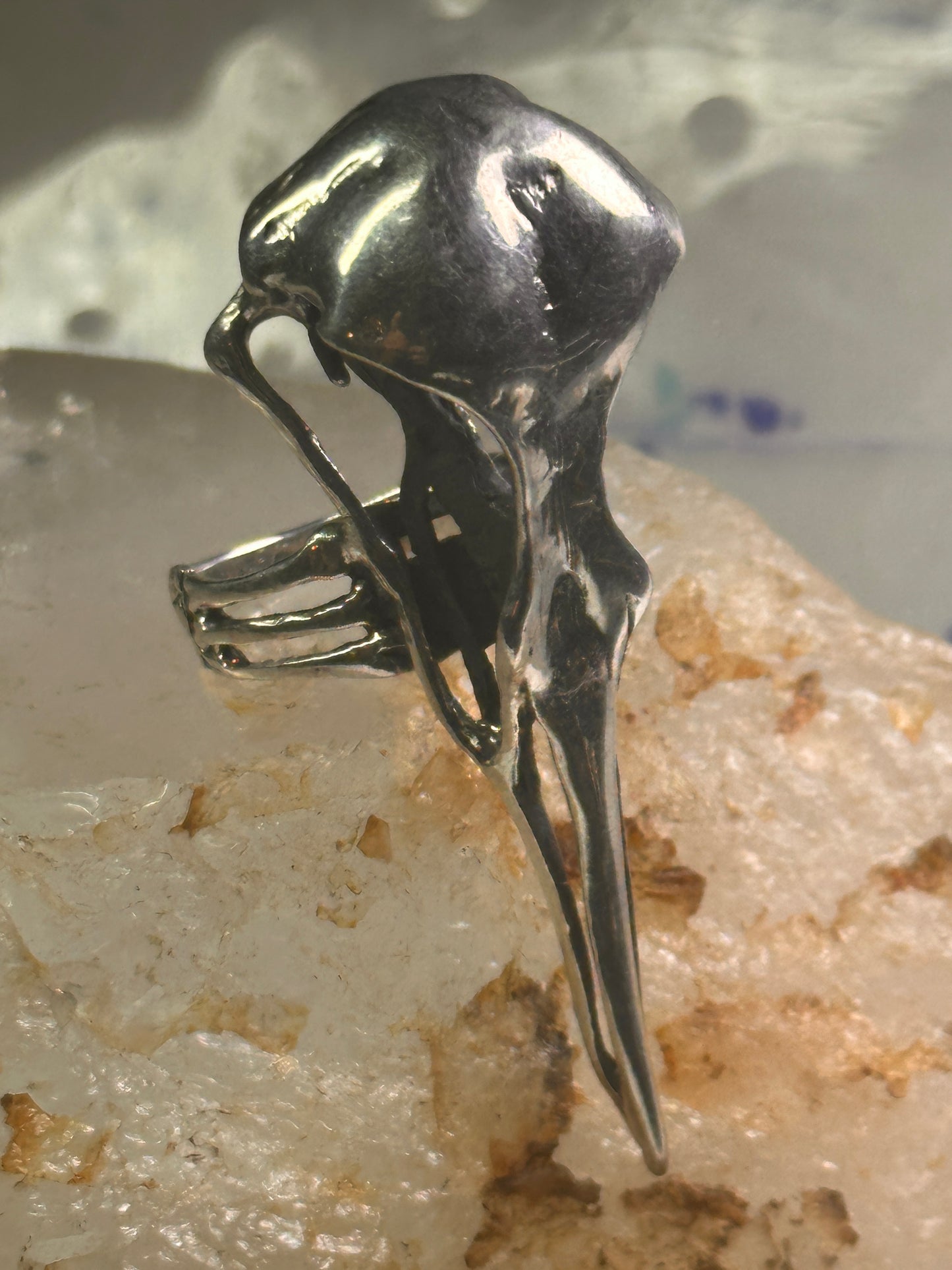 Skull Bird Ring Raven long band size 7.75 sterling silver women