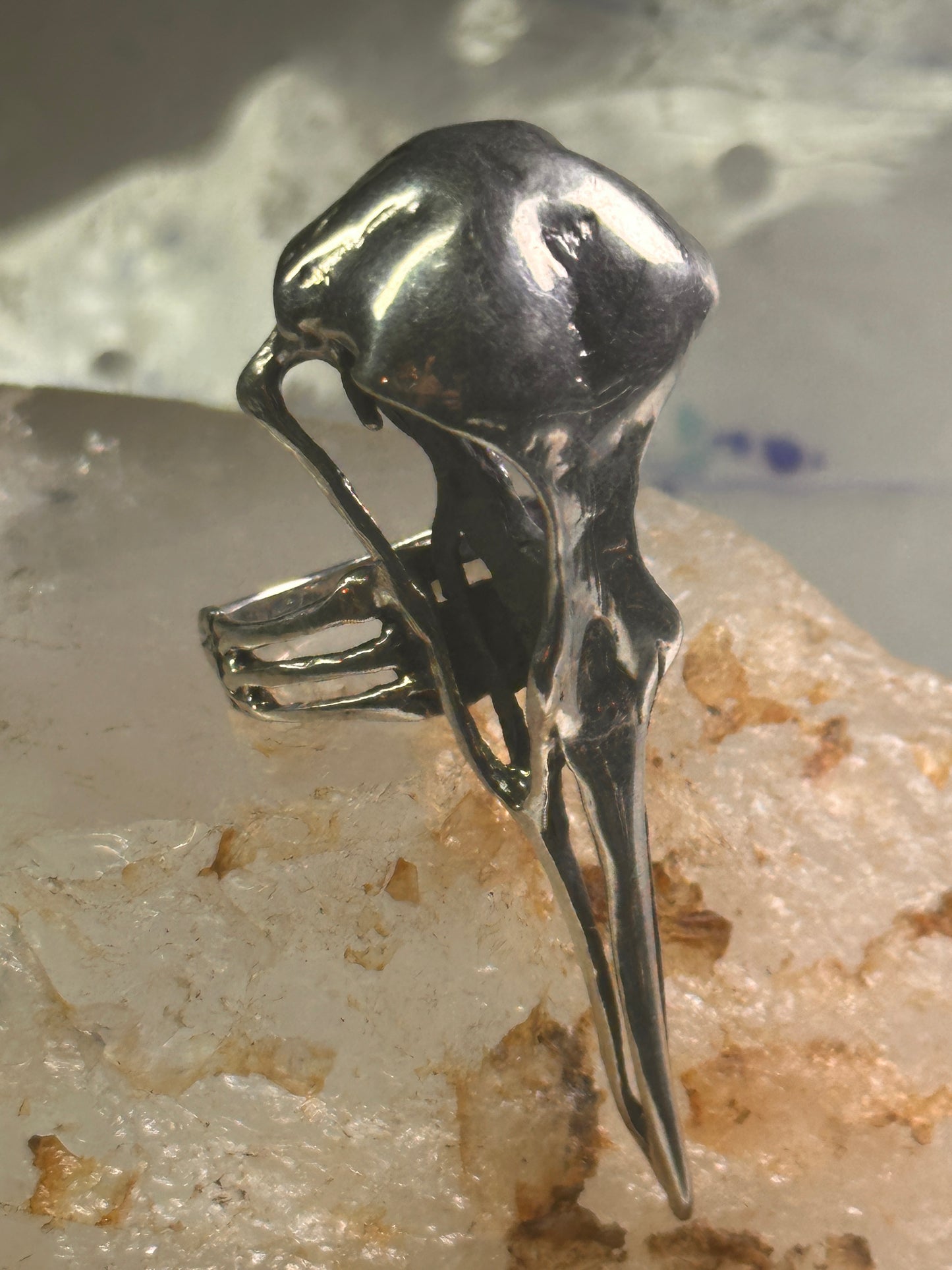 Skull Bird Ring Raven long band size 7.75 sterling silver women