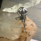 Skull Bird Ring Raven long band size 7.75 sterling silver women