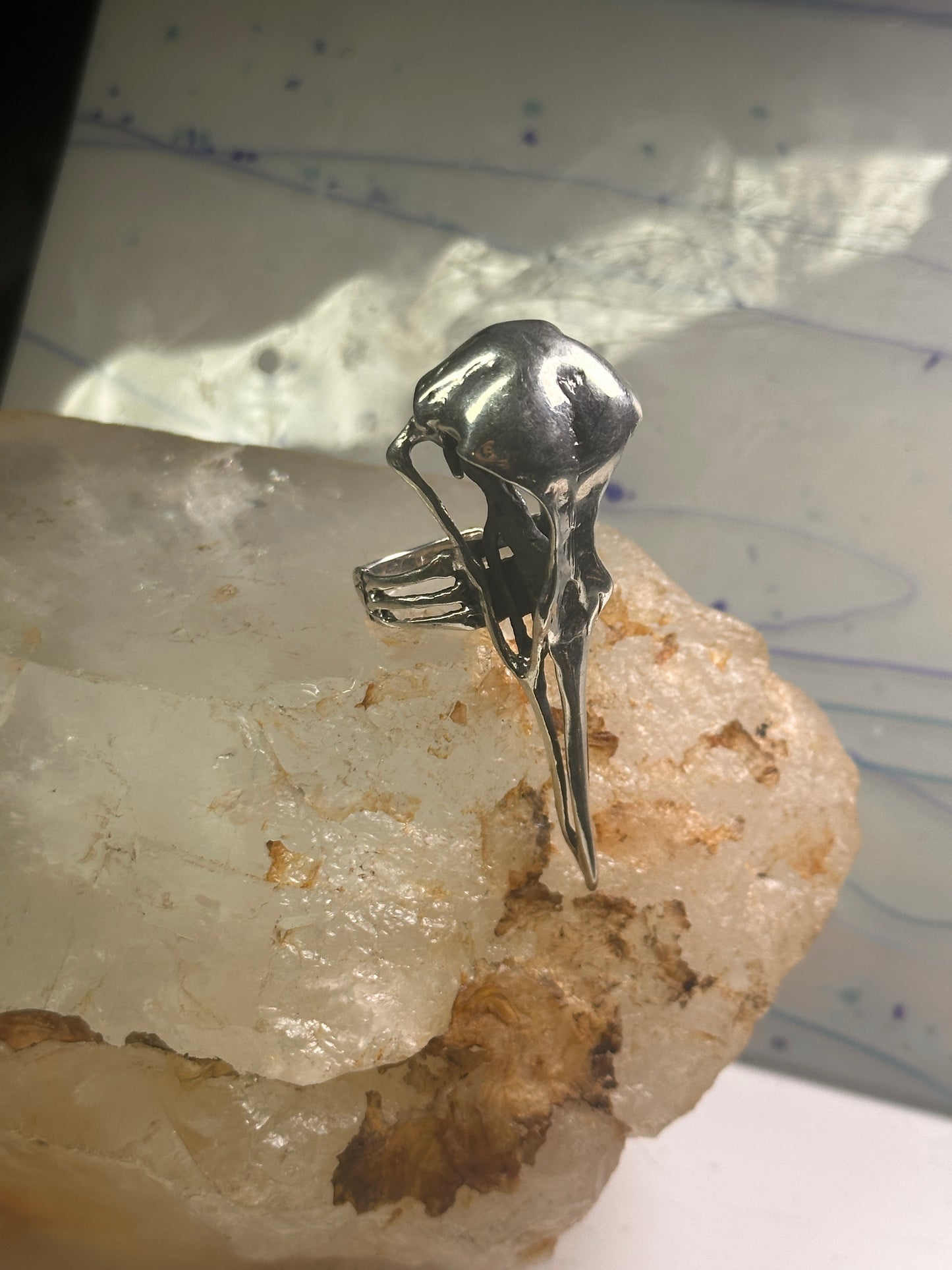 Skull Bird Ring Raven long band size 7.75 sterling silver women