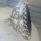 Black Hills Gold Long onyx ring leaves size 8.25 sterling silver women