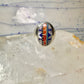 Zuni ring size 8 Turquoise, Coral, Lapis Lazuli, MOP,sterling silver women sign JM
