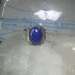 Black Hills Gold ring blue lapis leaves band size 7 sterling silver women men