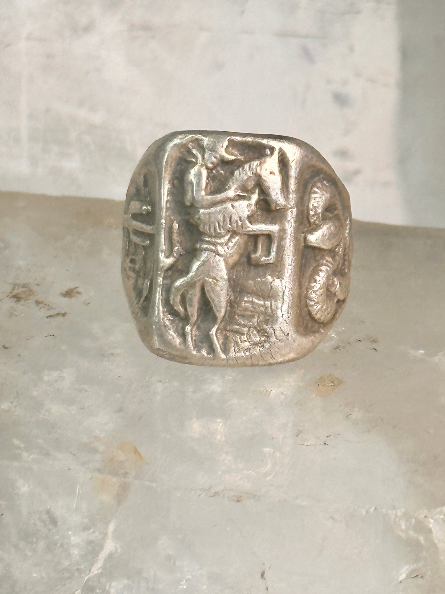 Bucking Bronco ring horse snake cactus Cowboy southwest band size 9 sterling silver women men