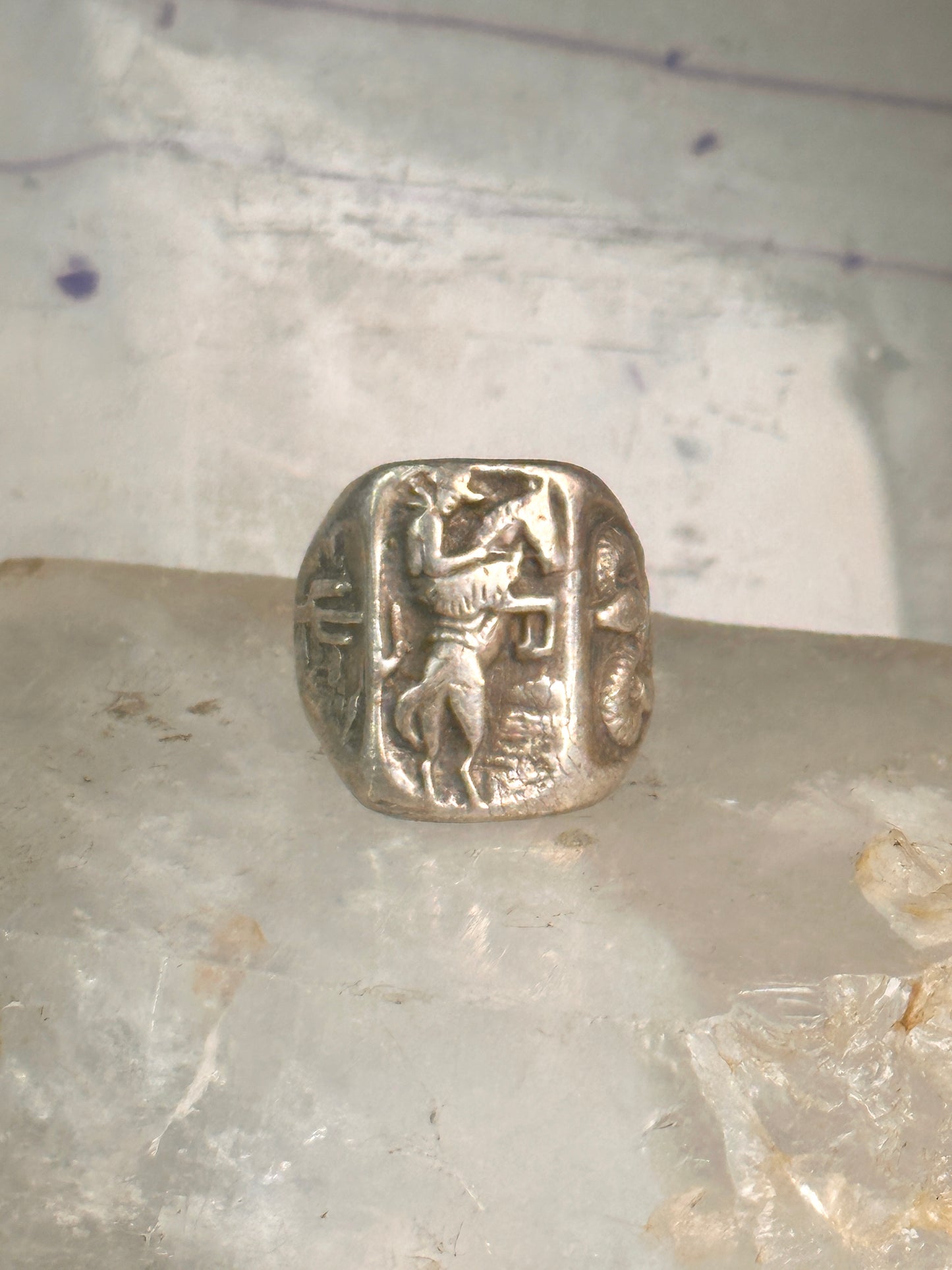 Bucking Bronco ring horse snake cactus Cowboy southwest band size 9 sterling silver women men