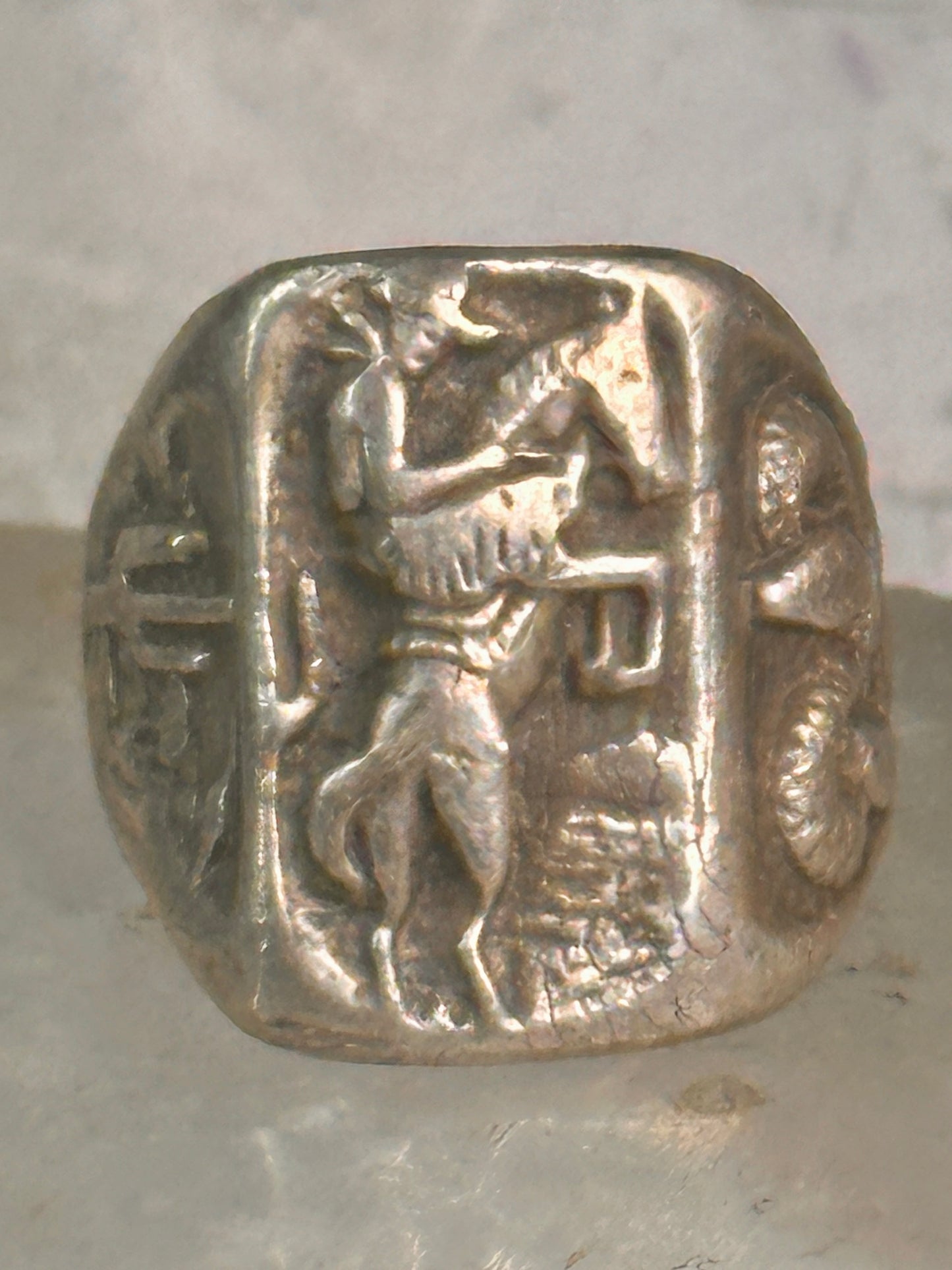 Bucking Bronco ring horse snake cactus Cowboy southwest band size 9 sterling silver women men