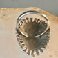 Zuni ring long turquoise flower petite point ring size 6.7 Sterling silver women