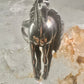 Horse ring cowgirl southwest size 5.25 Sterling Silver women girls&nbsp;