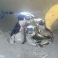 Seal family pod ring Kabana band size 7.25 sterling silver women girls