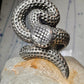 Snake ring Rattlesnake band size 10 sterling silver men women