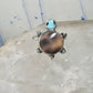 Turtle ring shell turquoise southwest band size 4.25 sterling silver women girls pinky