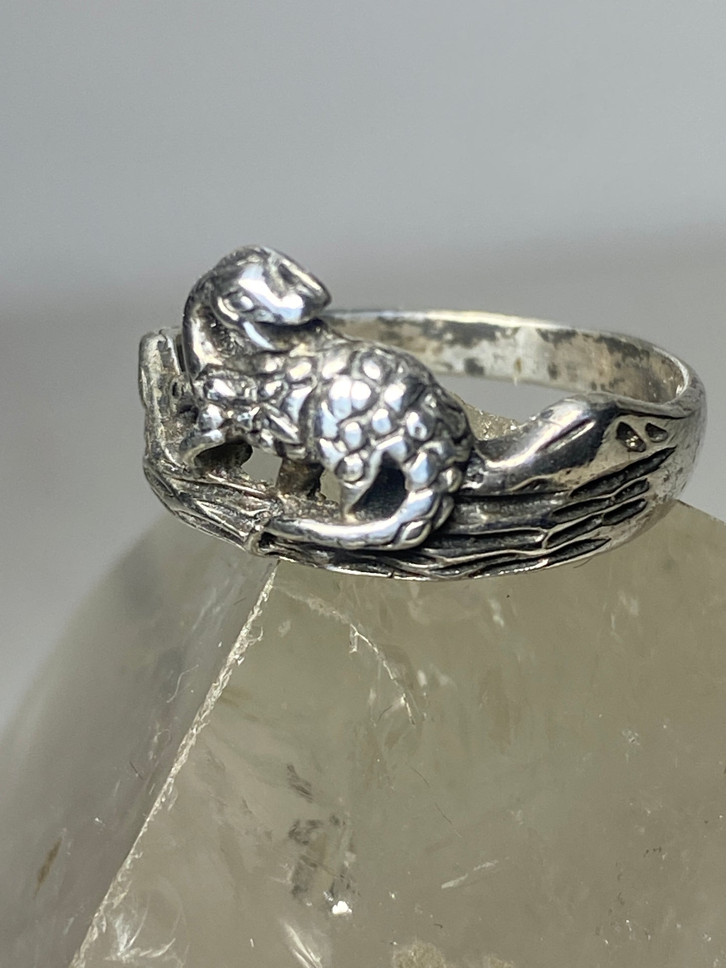 Dinosaur ring Dinosaur band sterling silver women girl